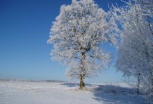 Otevírací doba o vánočních svátcích